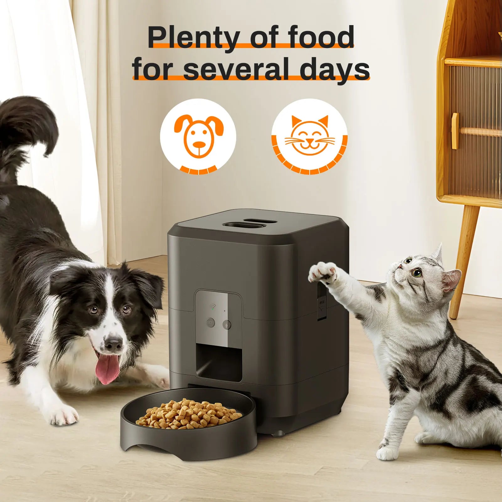 Smart Automatic Pet Feeder with Timed Dispensing