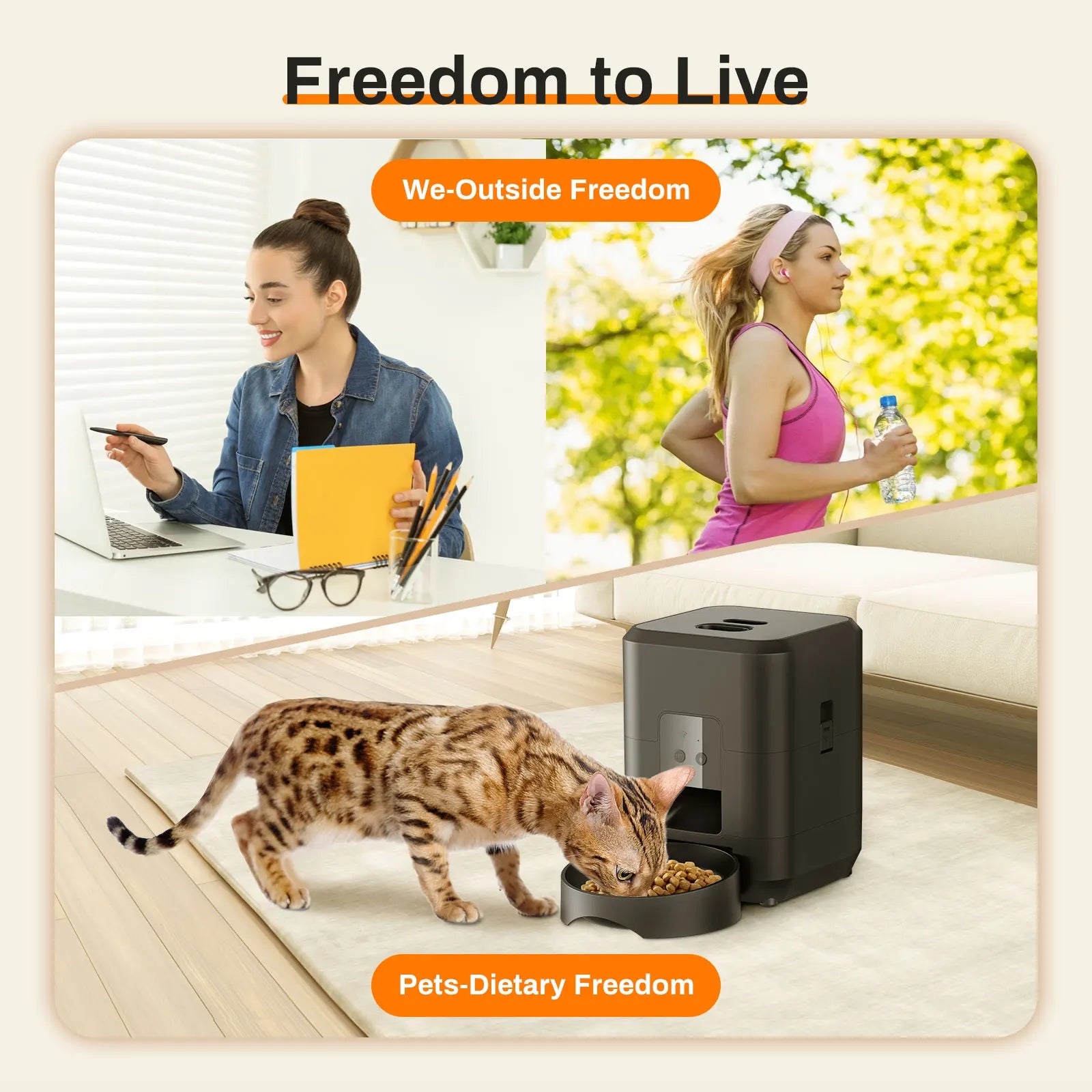 Smart Automatic Pet Feeder with Timed Dispensing