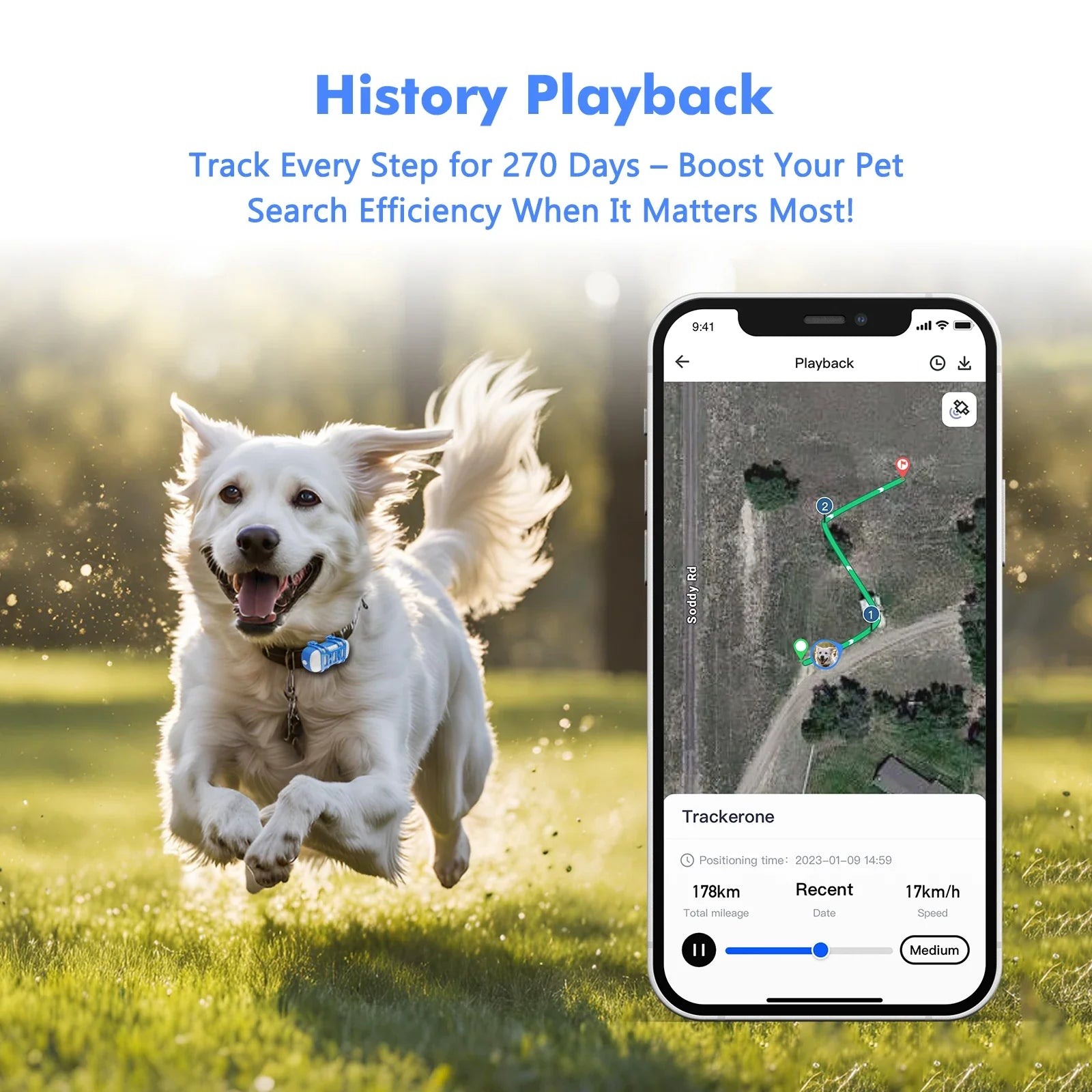 Smart Pet Tracker with App