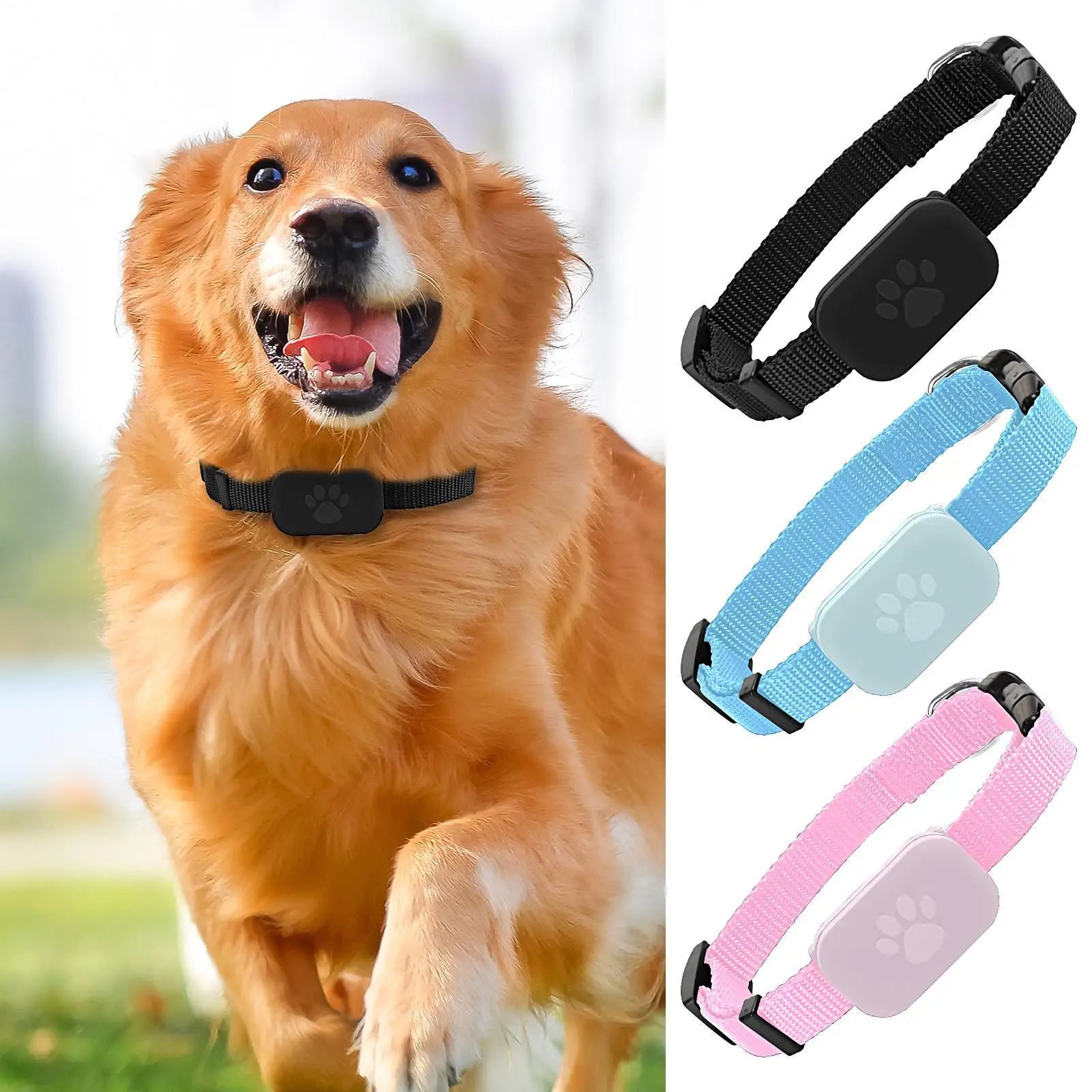 Smart Tracker Cat Collar