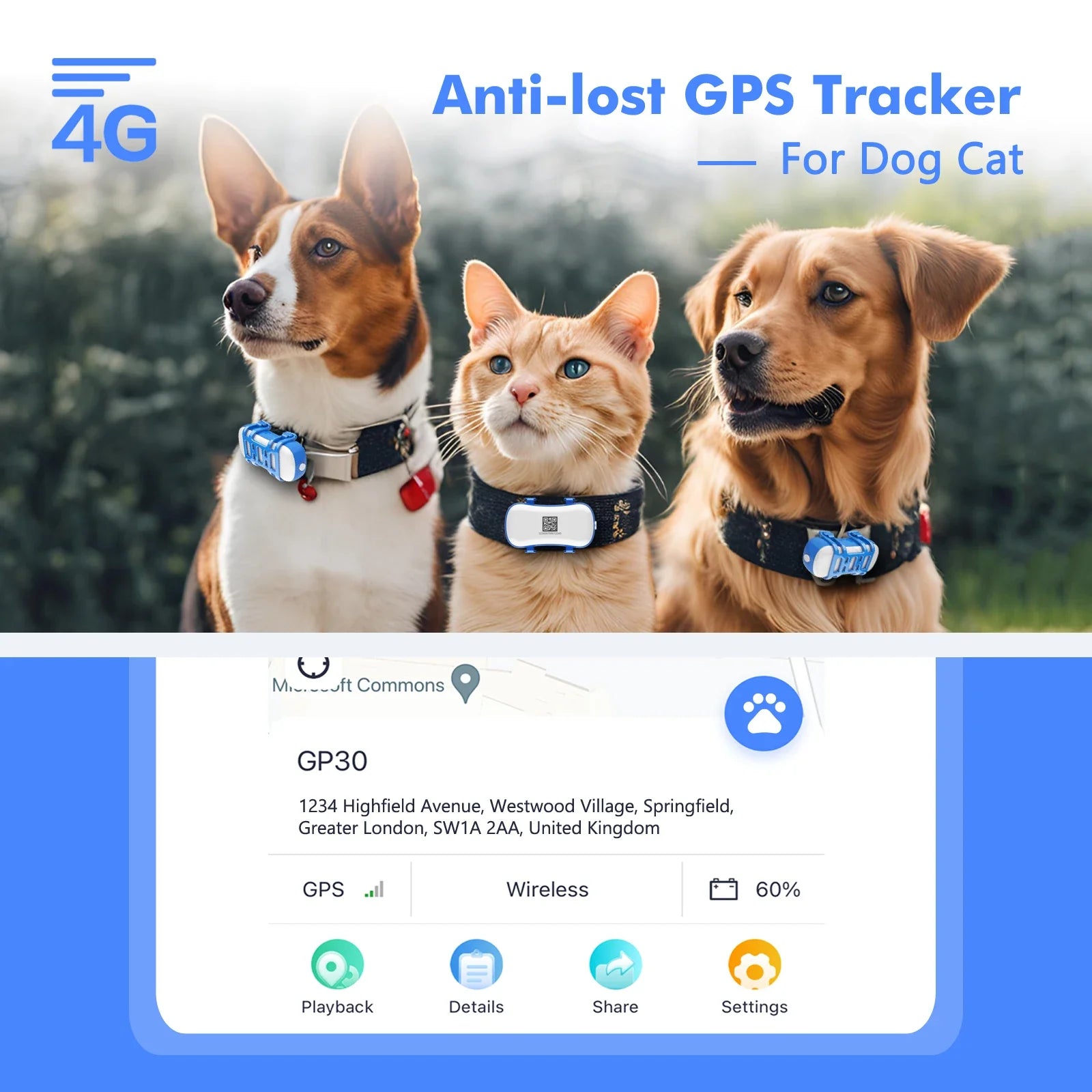 Smart Pet Tracker with App