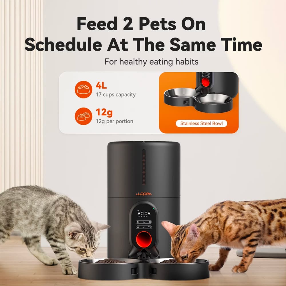 Timed Dog Food Dispenser