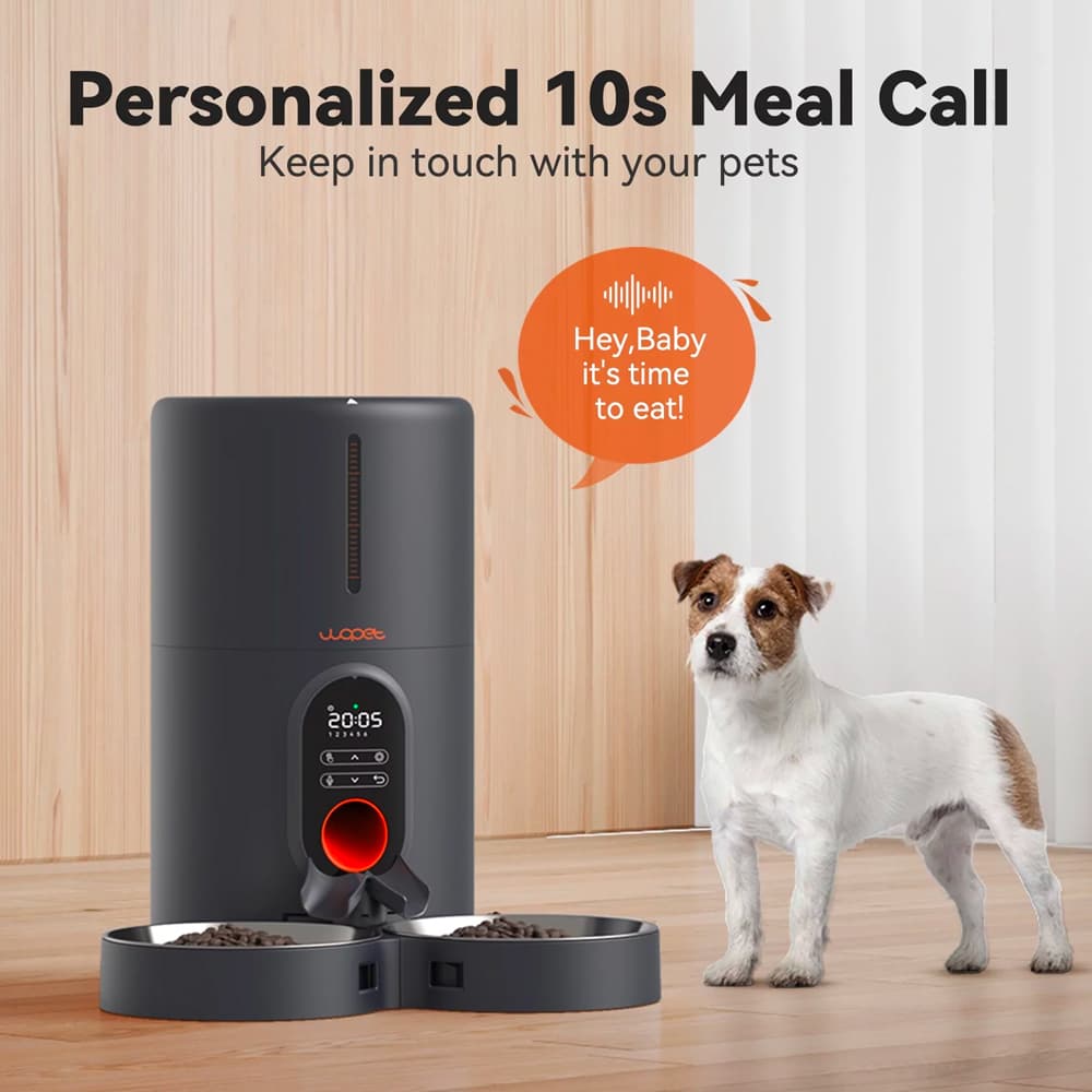 Timed Dog Food Dispenser